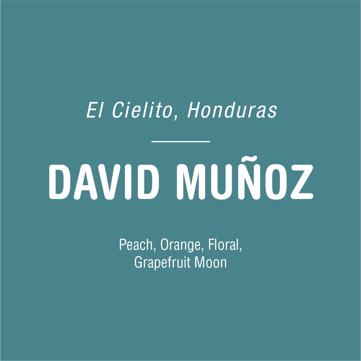 A teal background features white text that reads: "Tandem Coffee Roasters, Honduras" on top, followed by a horizontal divider line and "DAVID MUÑOZ" in large letters. Below, smaller text reads: "Peach, Orange, Floral, Grapefruit Moon," highlighting David's coffee from Nueva Esperanza.