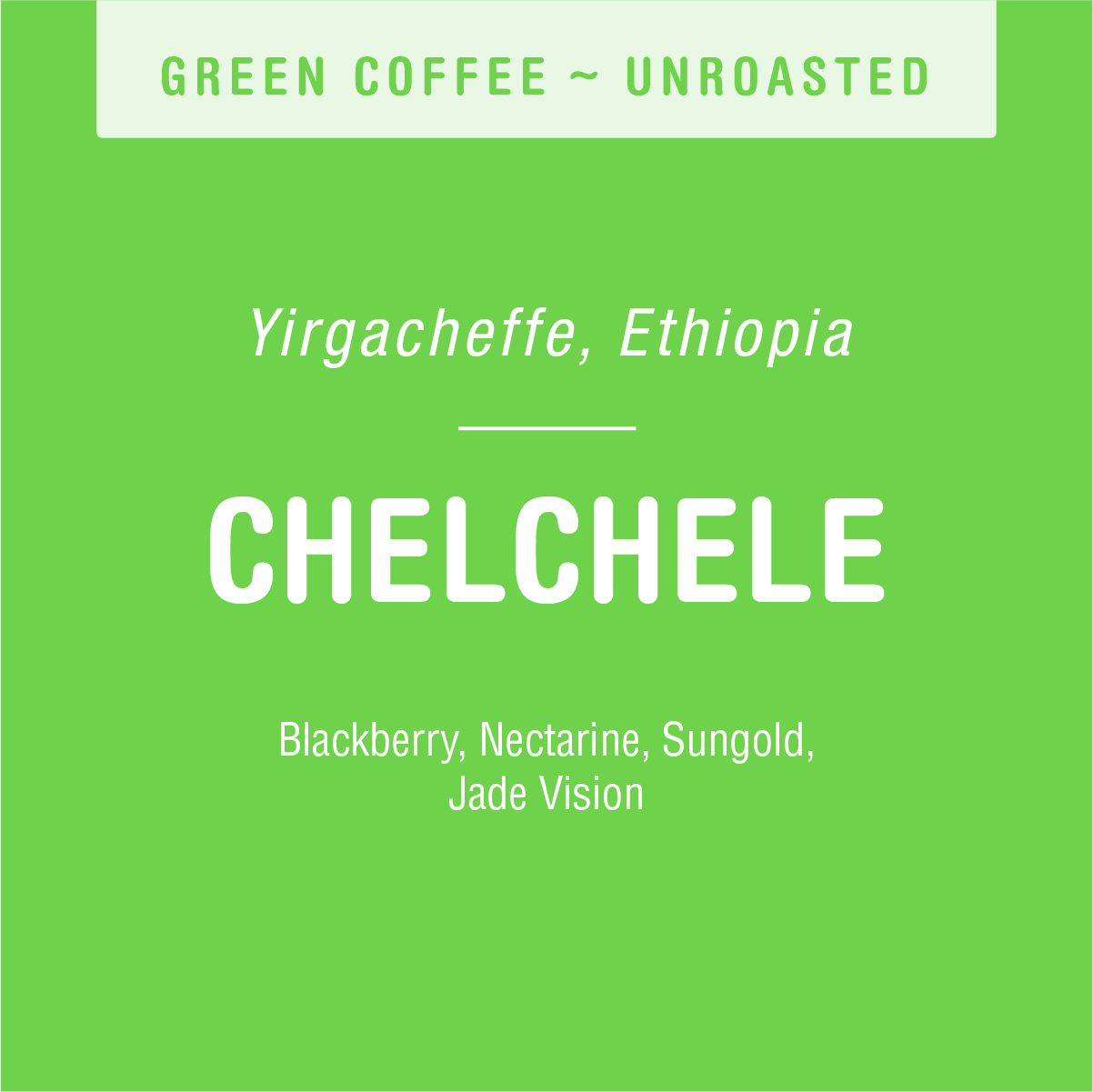 A bright green label with white text indicates "Chelchele (GREEN)" from Tandem Coffee Roasters. Below, it reads "Yirgacheffe, Ethiopia," known for its naturally processed beans. In larger letters, it states "CHELCHELE." Descriptive words include "Sweet and syrupy blackberry, Nectarine, Sungold, Jade Vision.