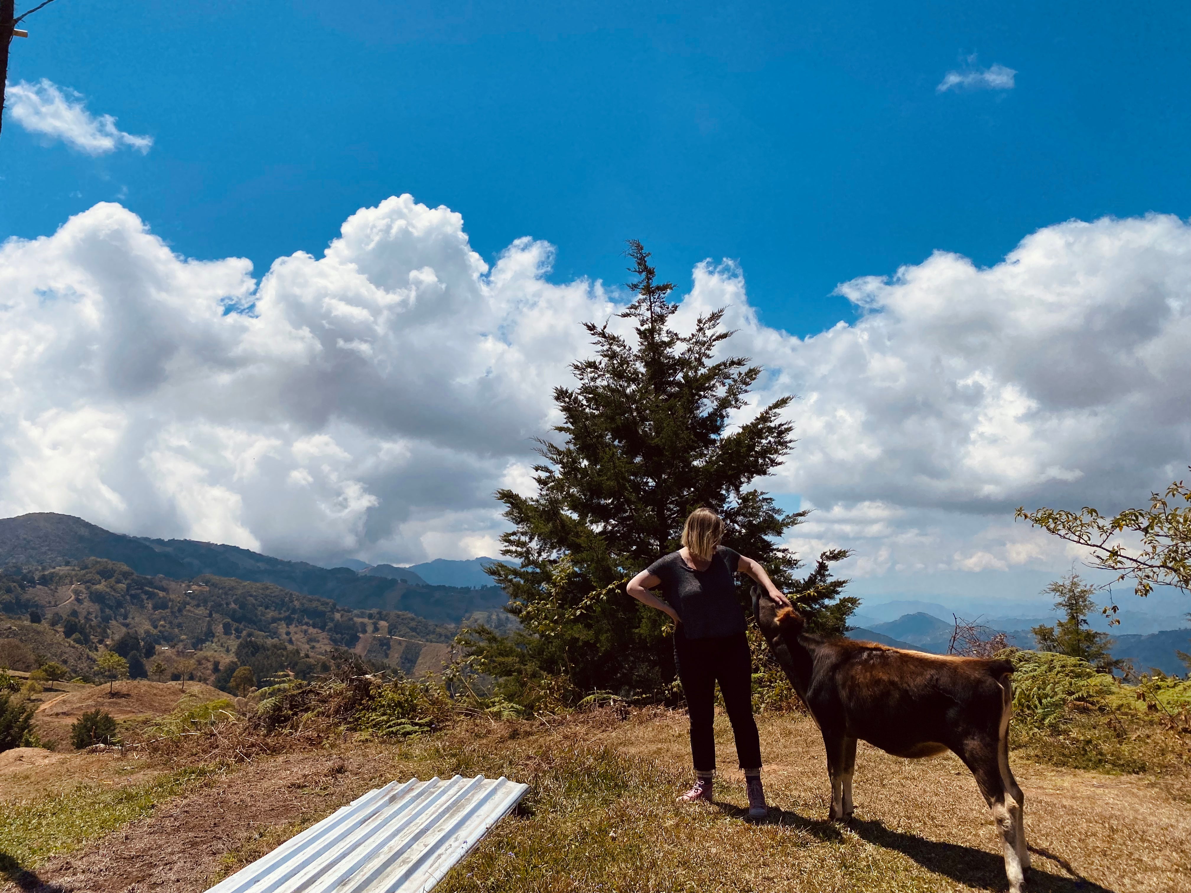 Mauricio Jimenez - Costa Rica