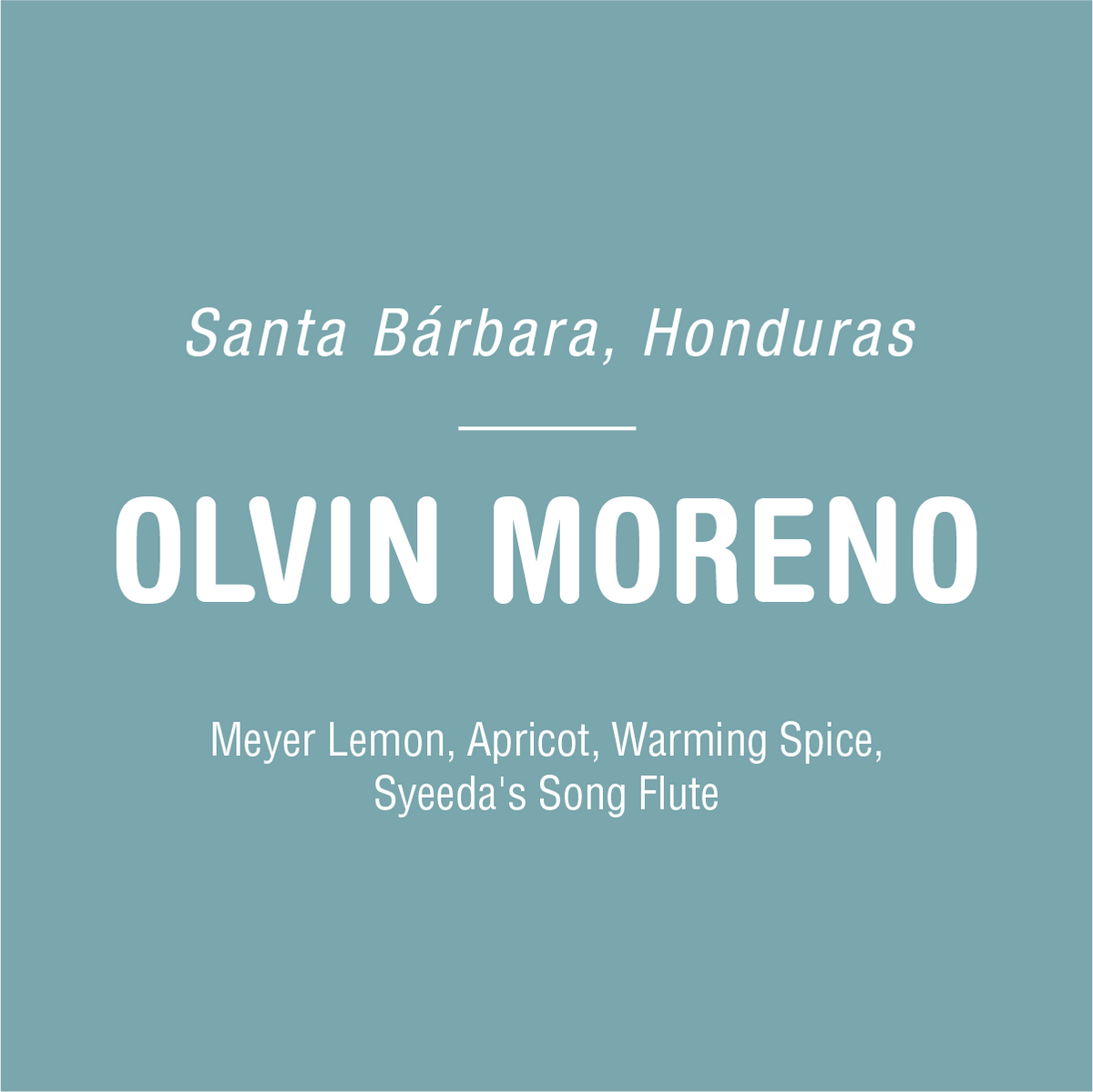 A teal background with white text that reads: "Santa Bárbara, Honduras" followed by "OLVIN MORENO - HONDURAS" in large bold letters. Below, in smaller text: "Meyer Lemon, Apricot, Warming Spice, Syeeda's Song Flute." A tribute to unique coffees and the art of coffee cultivation by Tandem Coffee Roasters.
