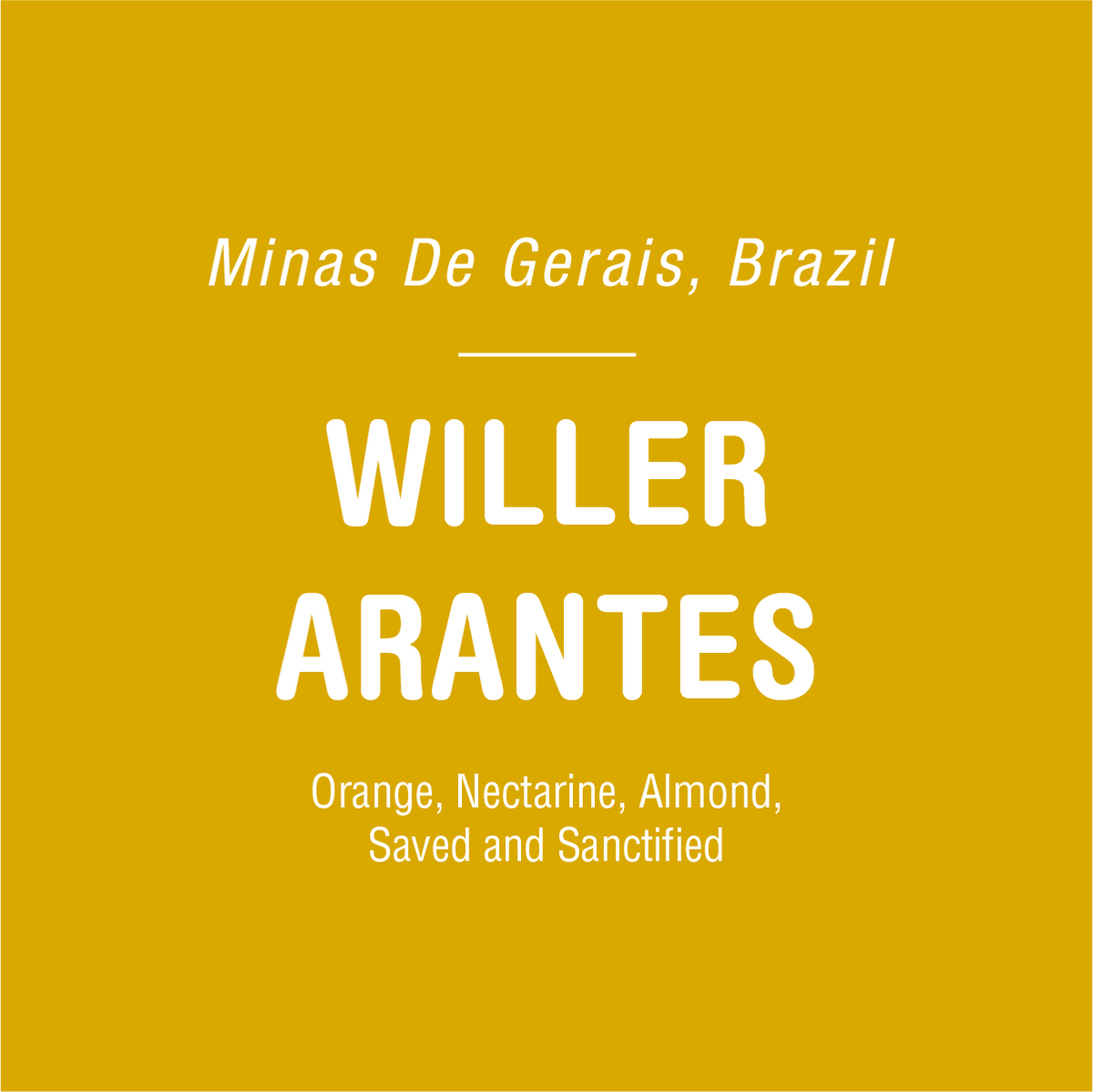 A yellow background features text that reads: "Minas De Gerais, Brazil" at the top, "Willer Arantes - Brazil" in the middle, and "Orange, Nectarine, Almond, Saved and Sanctified" at the bottom—representing flavors from this renowned specialty-grade coffee farm in Brazil by Tandem Coffee Roasters.