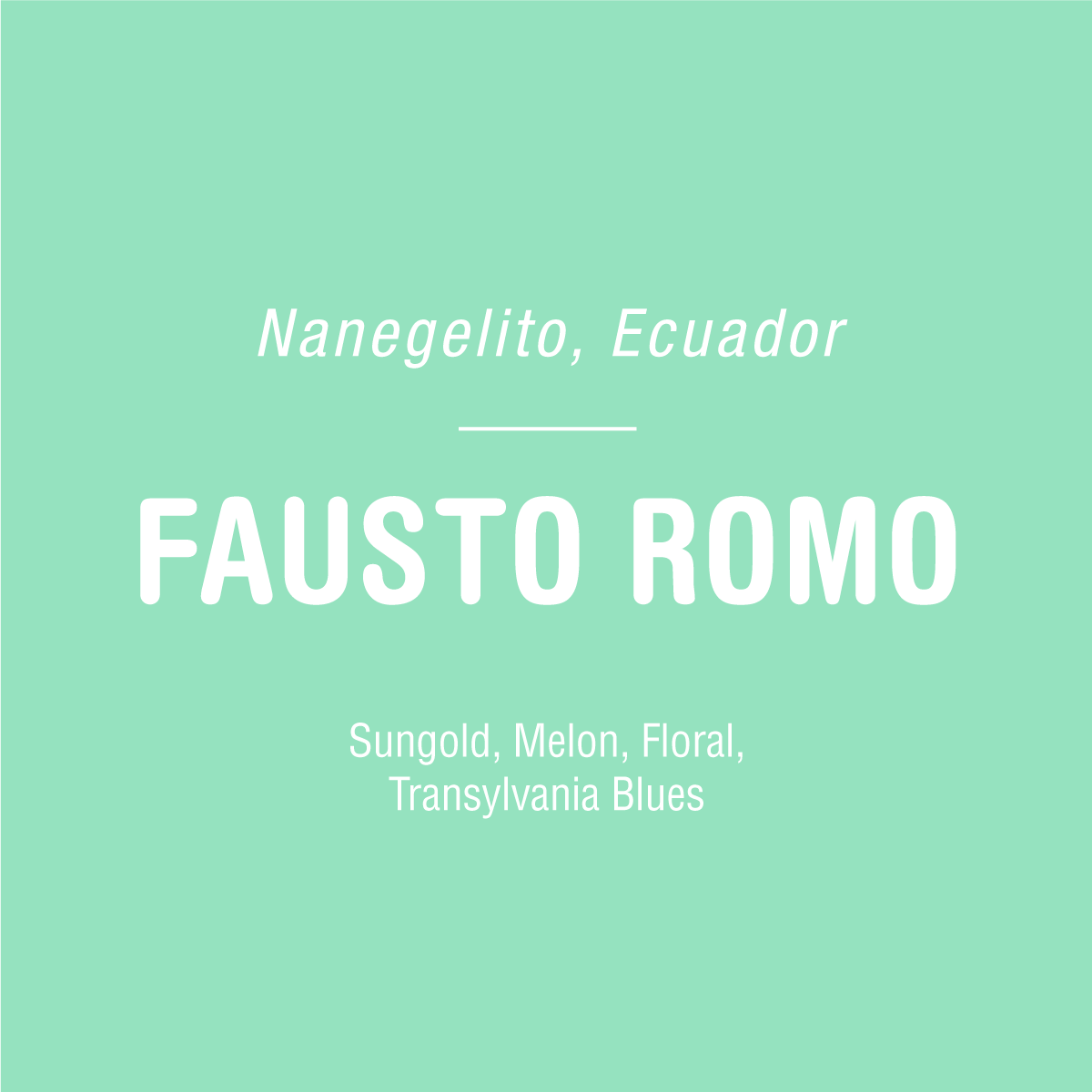 On a mint green backdrop, white text reads: "Tandem Coffee Roasters presents Fausto Romo - Ecuador" followed by a line and in smaller text: "Sidra, Melon, Floral, Transylvania Blues.