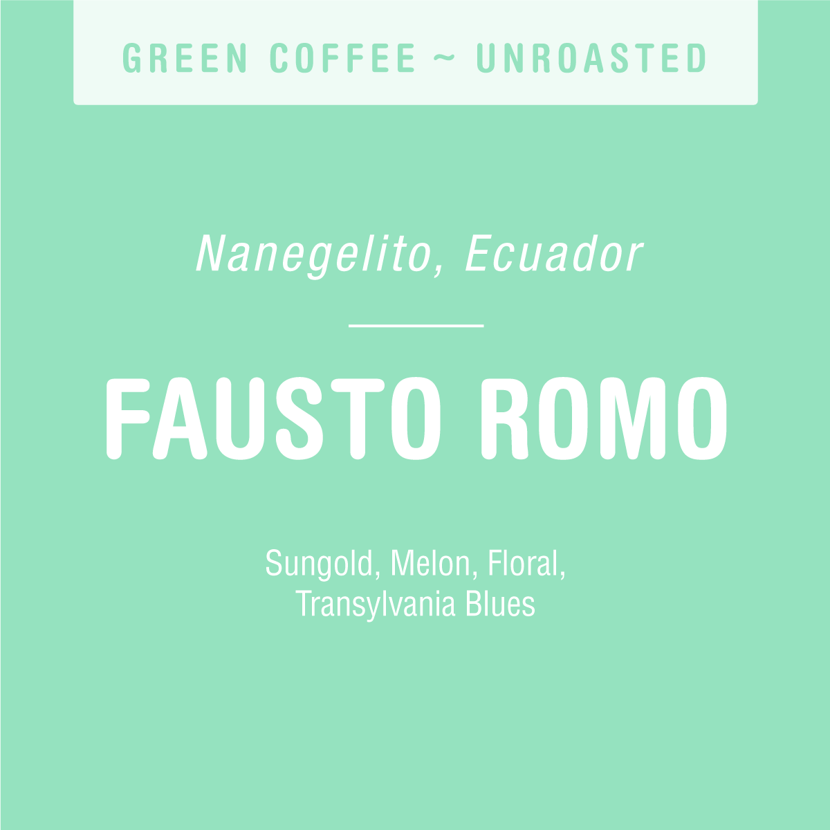 Fausto Romo (GREEN)