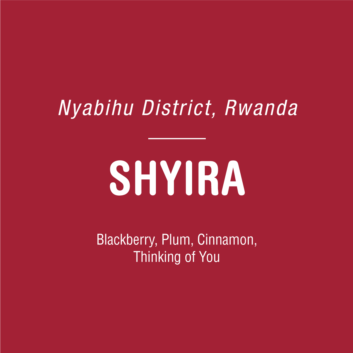 A red background with white text reads "Nyabihu District, Rwanda" at the top, highlighting "SHYIRA" in bold. At the bottom, discover flavors of Blackberry, Plum, and Cinnamon—an evocative blend from Tandem Coffee Roasters' Shyira - Rwanda coffee from Shyira washing station.